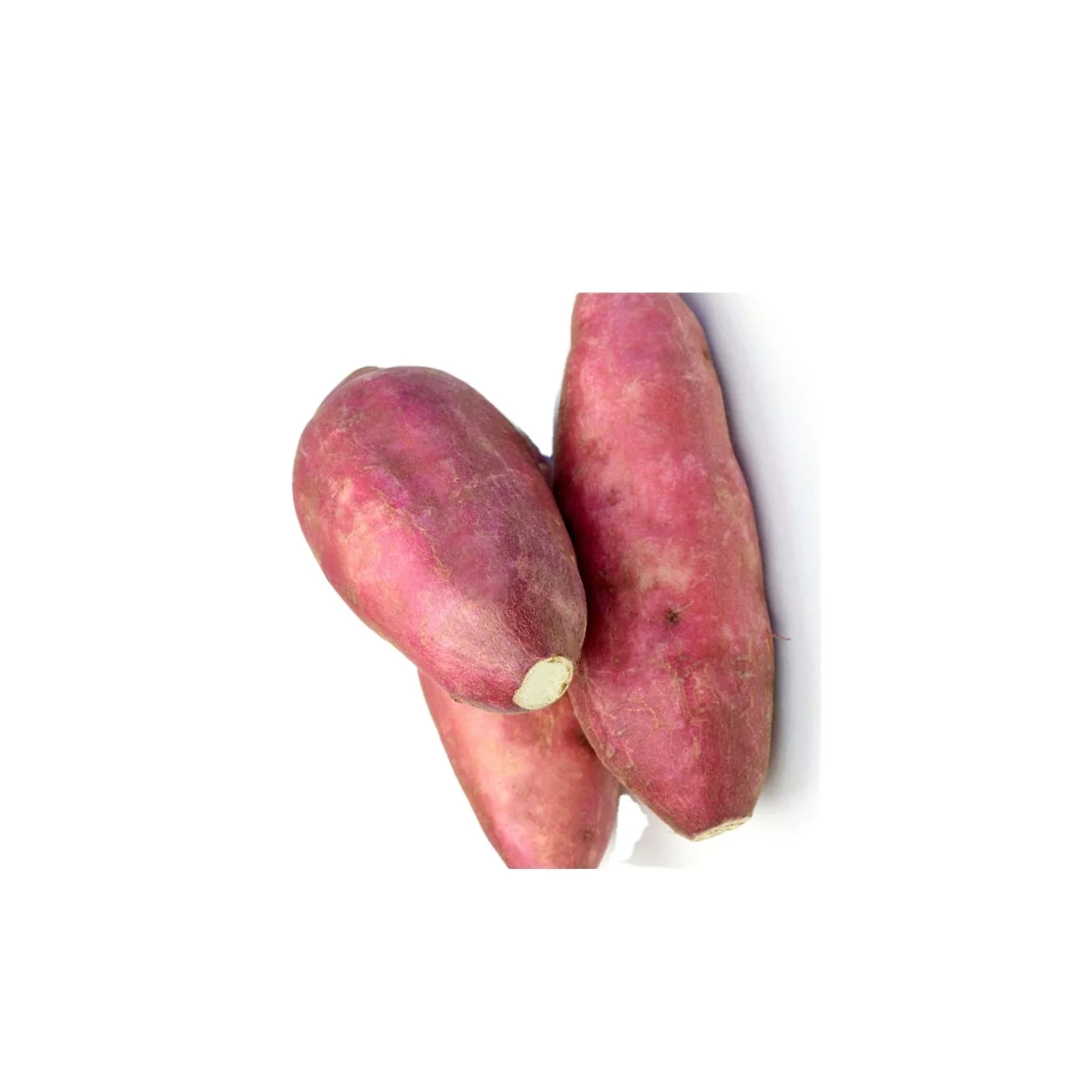 sweet potatoes fresh potato dark purple skin style storage cool packing country weight origin type vegetable shape potato