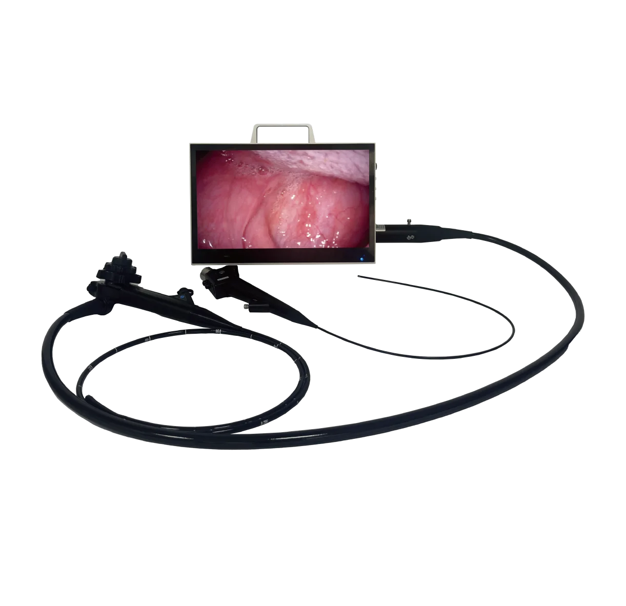 New generation veterinary all-in-one portable & multifunctional endoscope system For Vet rigid and flexible