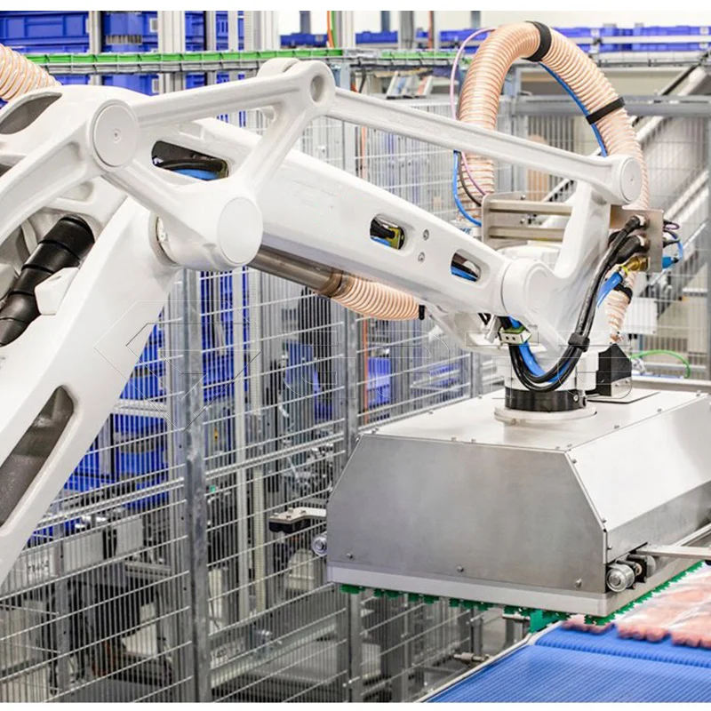 MS 200KG Automatic Industrial Robot Palletizer Collaborative Robot Palletizer Of