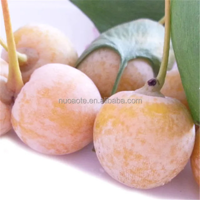 Пищевой сорт хорошего качества Форте орехи очищенные сырые сушеные сырые орехи/ядра с оболочкой и без оболочки