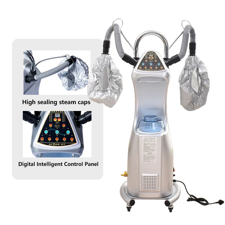 2024 Hot sale Ozone Micro-Mist Nano Hair Steamer Biochemical Instrument Dry Hair Beauty Spa Treat For Hair Salon