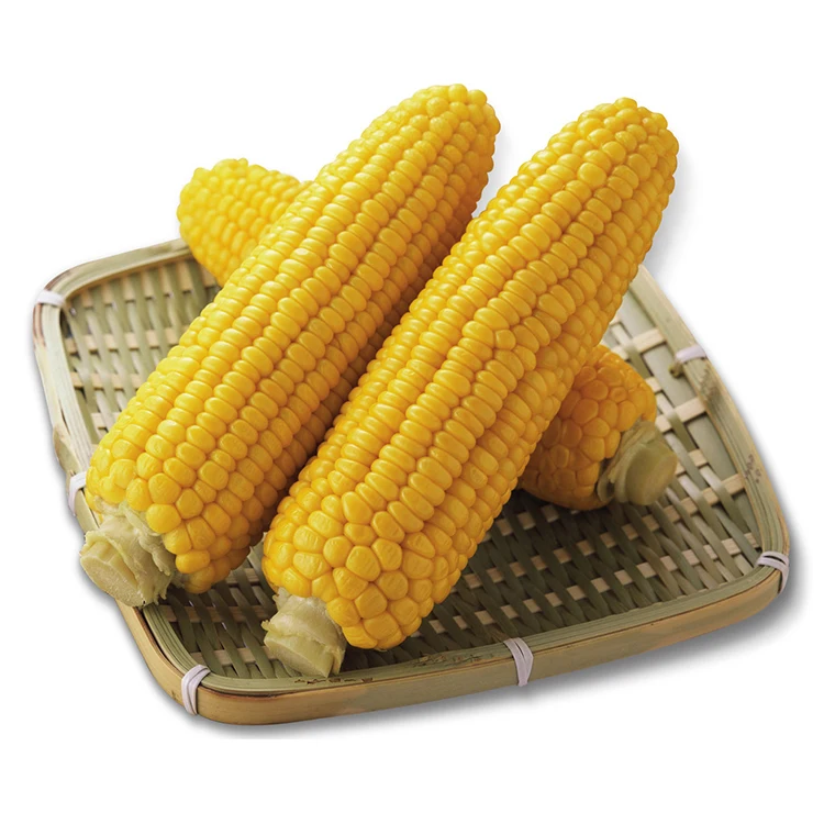 Hot Selling Agricultural Product Bulk Yellow Corn Vacuum packed corn ready-to-eat corn
