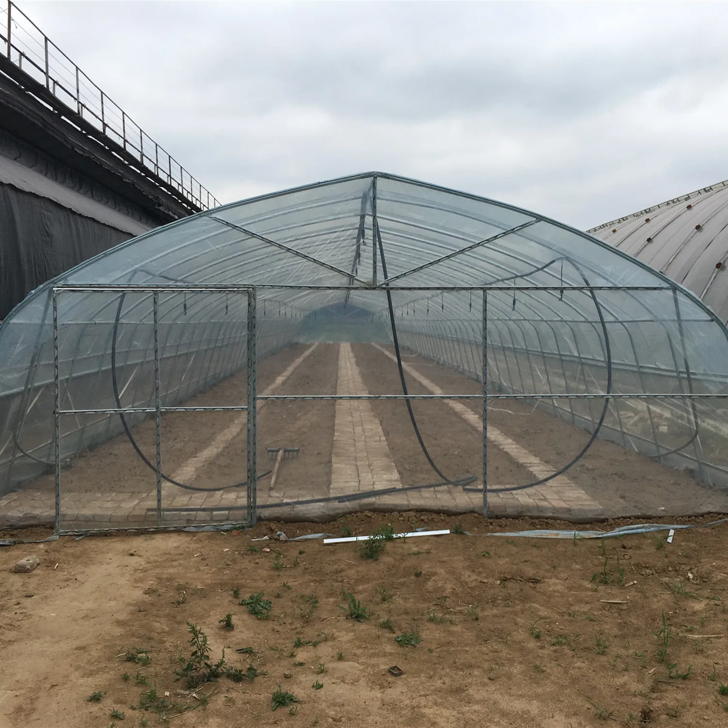 Low Cost Mini Tunnel Greenhouse for Tomato/Cucumber/Seed Breeding for Sale