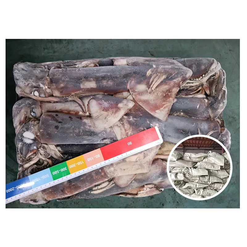 Good Quality Seafood Equatorial Squid 15kg Bag Packing BQF Frozen Gigas Equator Squid