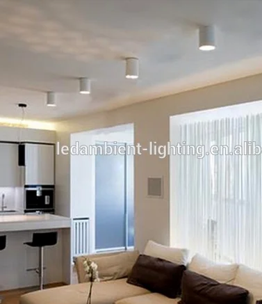 DC 24 volt LED GX53 adjustable downlight surface mounted fixture GU10 MR16 with bracket replaced lamp