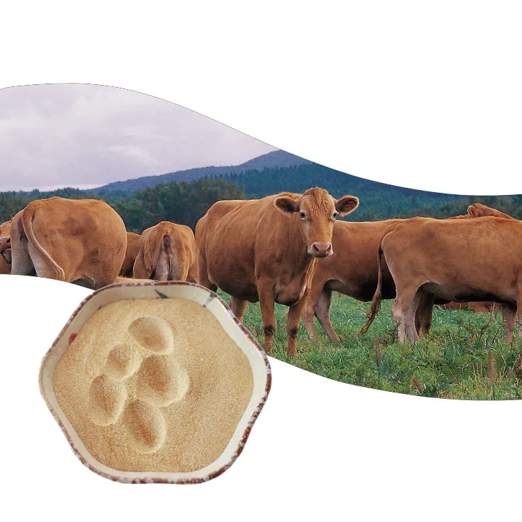 200000U/г ксиланаза улучшает иммунитет скота и птицы, ферментный порошок