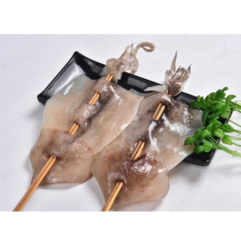Exported Good Quality Top Fresh Illex Squid Frozen Seafood Export Argentina Squid