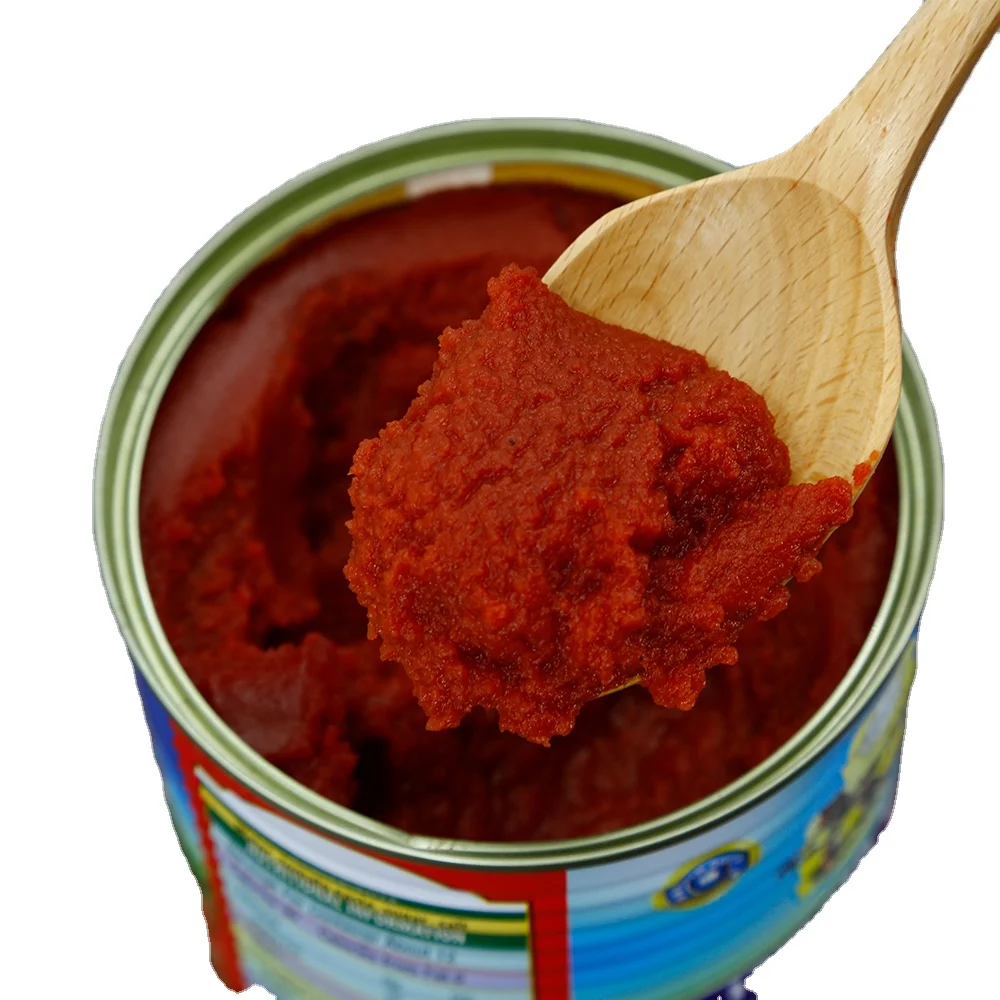 800g Best Brand Organic Canned Tomato Paste Manufacturer with Best Price