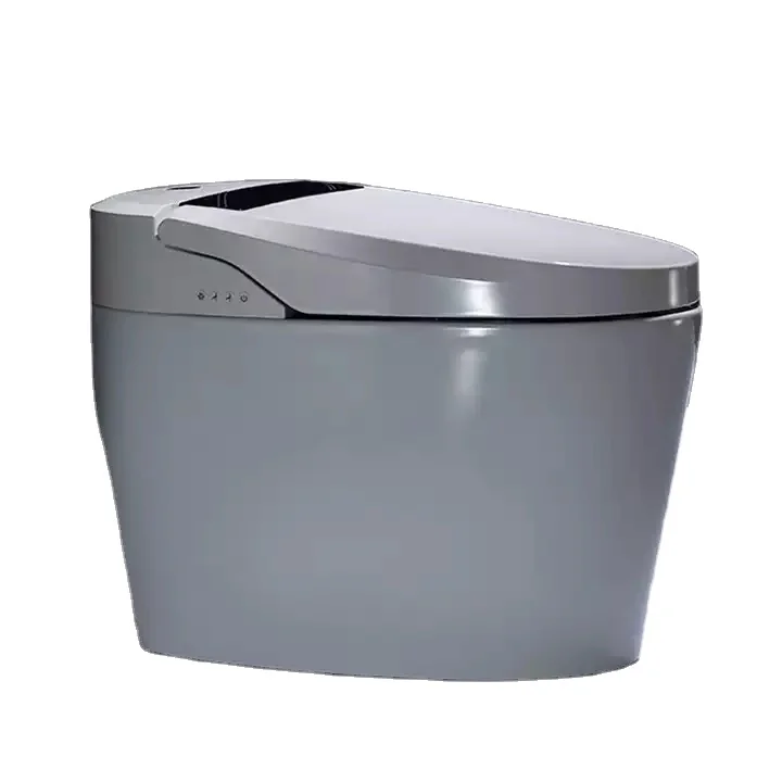 China sanitary ware intelligent toilet bathroom smart toilet seats