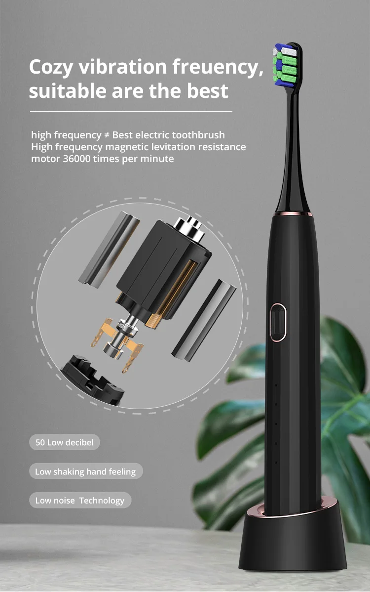 Home Use Travel Rechargeable Automatic Smart Adult Electric Sonic Toothbrush For Adult Group