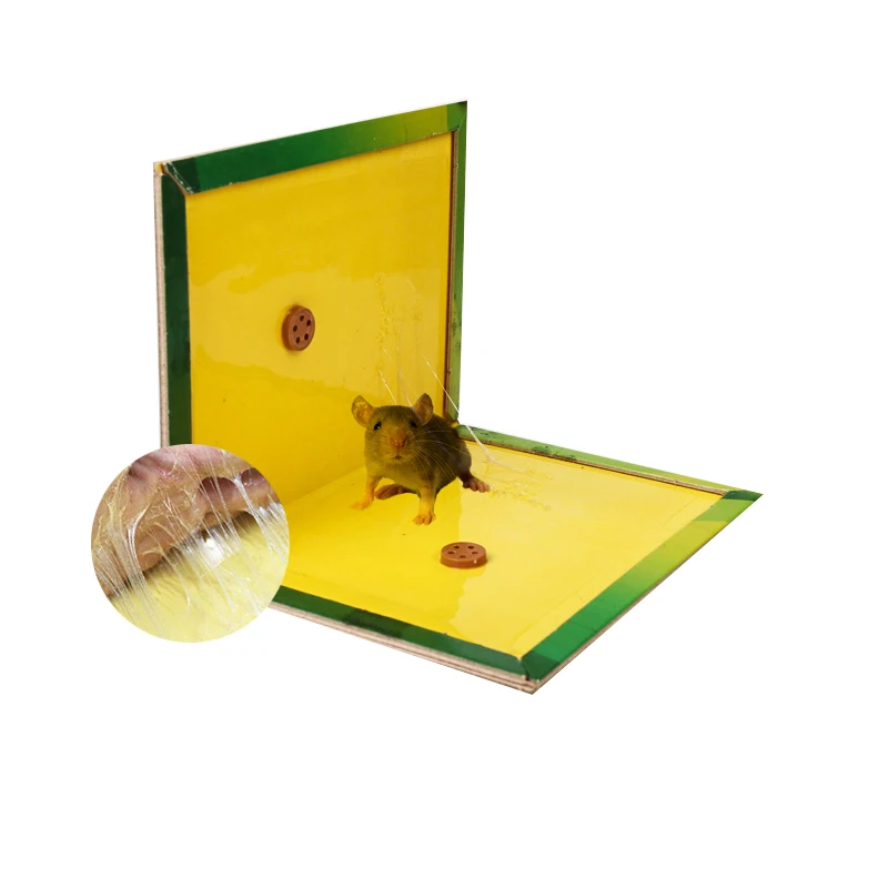 Strong Adhesive Paperboard Pre Baited Mouse Glue Trap Rat Glue Traps Sticky Trap Board Book for Mice and Rats