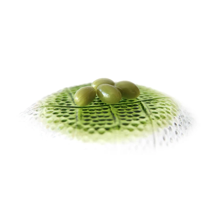 
anti-aging green tea extract collagen tablets capsules supplement 