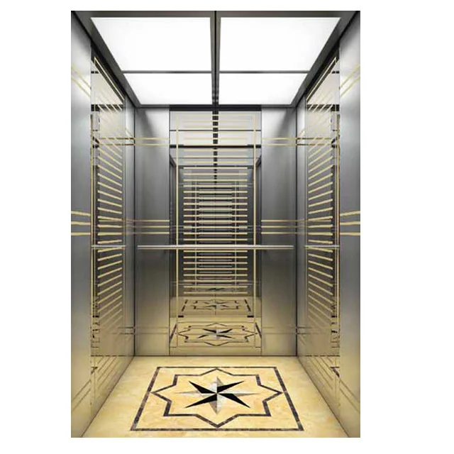 High Quality Luxury Machine Roomless Fashion Passenger Lift New Mini Home Elevators