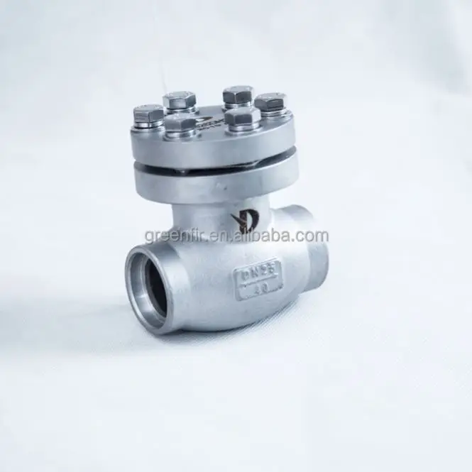 DH61F-40P Cryogenic stainless steel Check Valve LNG ISO tank container