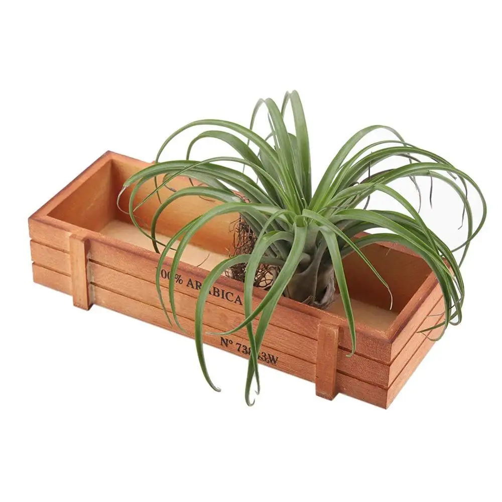 Vintage Wood Garden Planter Succulent Pot,  Garden Herb Wooden Plant Seeds Box