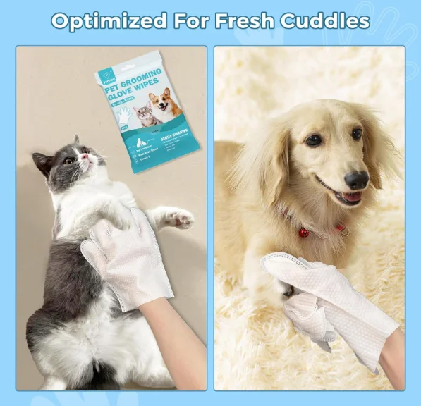 Factory Wholesale Custom Logo Disposable Non-woven Fabric Cat Cleaning Gloves Dog Pet Gloves Wet Wipes