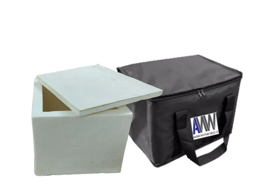Premium Temperature Controller Box PU Box-20 Cold Chain Logistics Cold Packaging Cooler Bags from Thailand