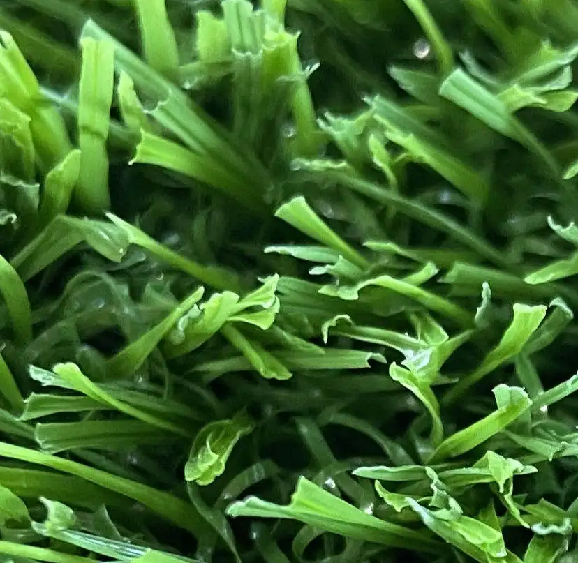 Artificial Grass 30mm  Height Faux Grass Turf Garden Realistic Synthetic Lawn