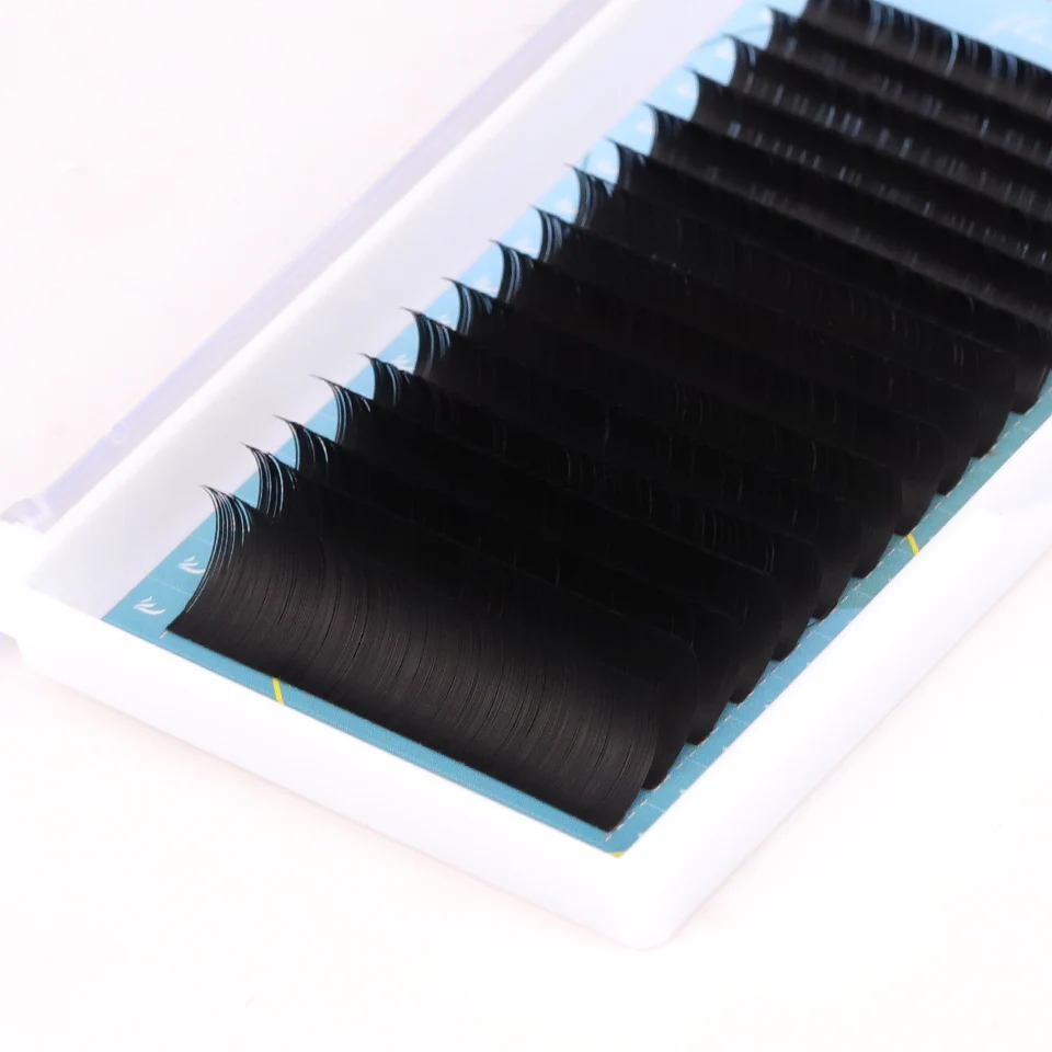 Wholesale Private Label jet black ellipse flat lash extension with custom logo trays classic eyelash extensions