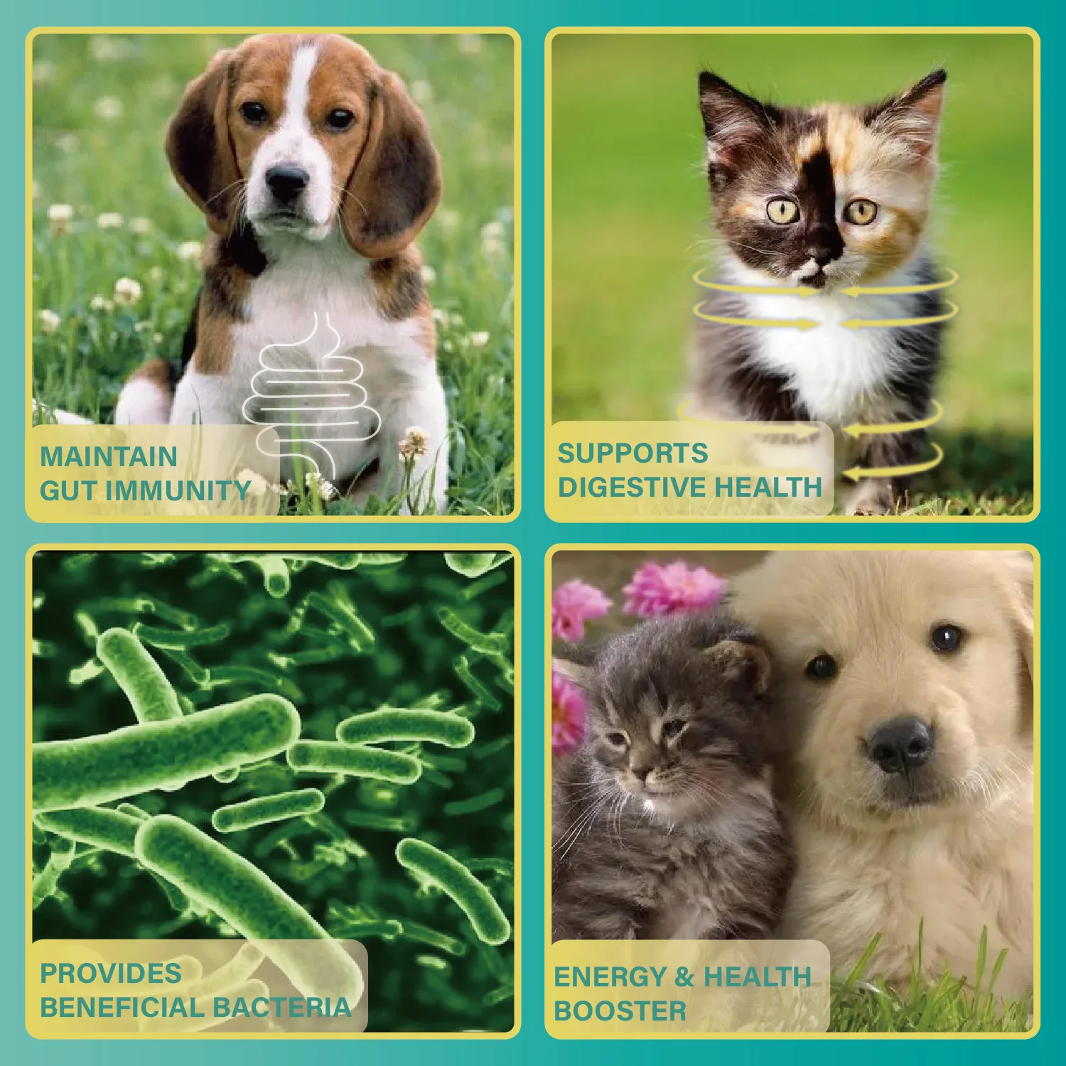 Dog&Cat Probiotics and Digestive Enzymes, Probiotics Liquid for Pets, Probiotics for Pet Digestive Health, Wholesale Customized