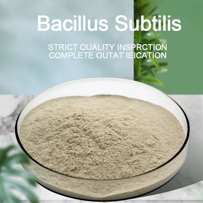 Bacillus Subtilis Animal Feed Additive Probiotics For Animal Feed For Cattle And Sheep Ruminants