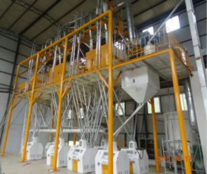 50TPD Wheat Flour Milling Machine Production Line Wheat Flour Mill Posho Mill Prices in Kenya 50kg/h