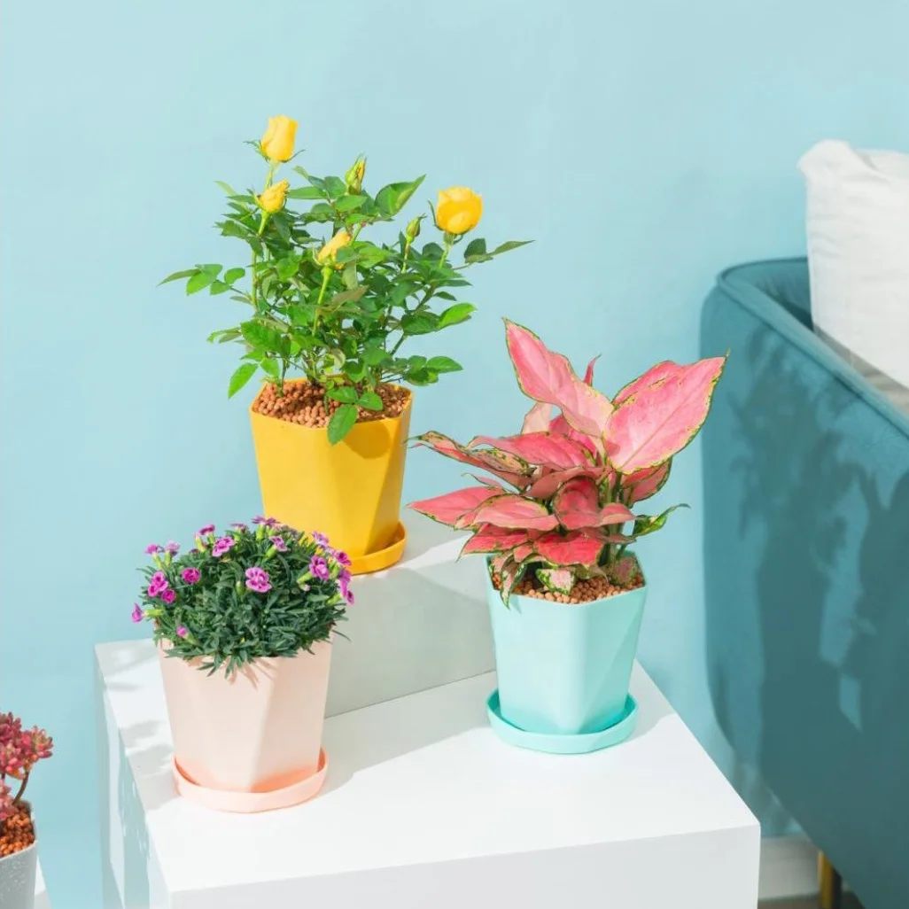 New Garden Macaron Colorful Round Irregular Plastic Bonsai Large Plant Planters Flower Macetas Pot