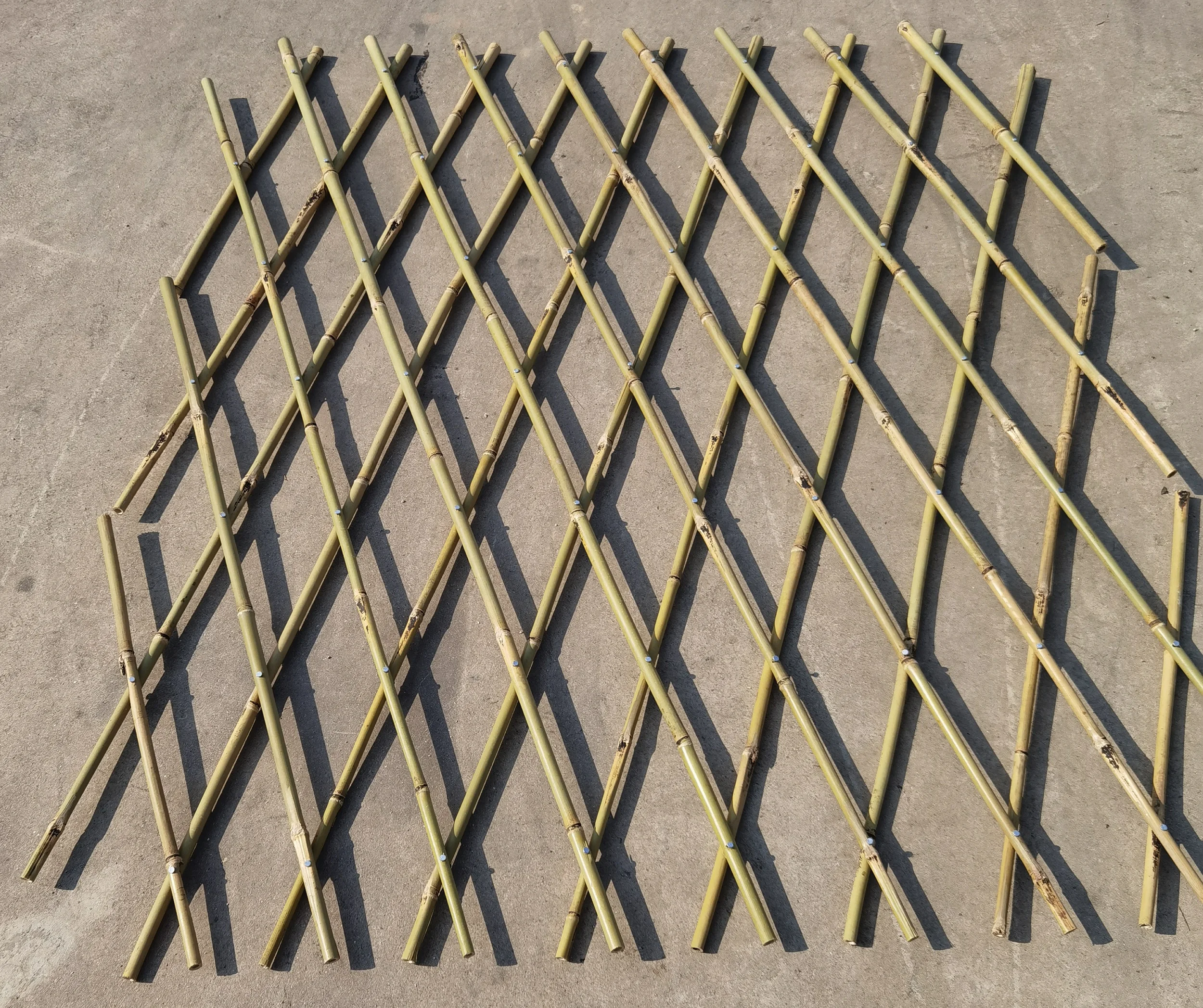 webwxgetmsgimg (3).jpg