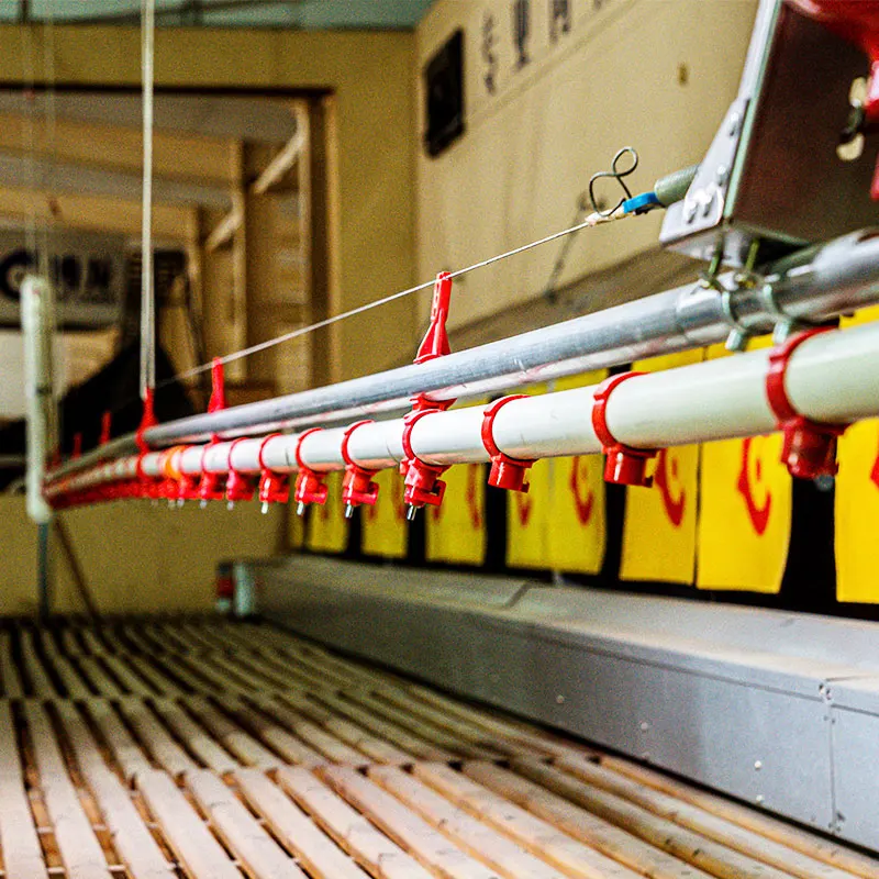 Automatic bell chicken drinking system chicken feeder and drinker