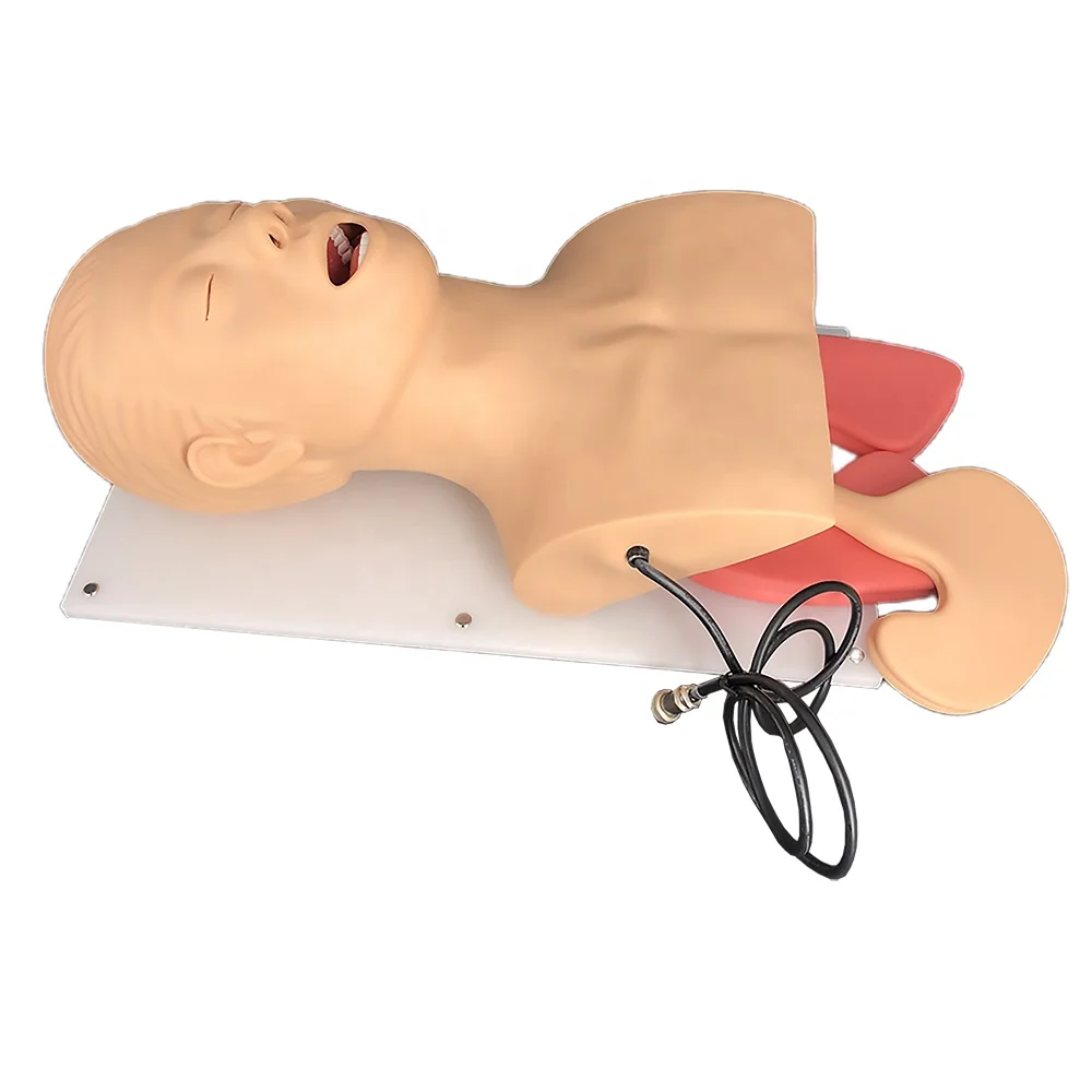 Endotracheal Intubation Training Manikin, intubation training device