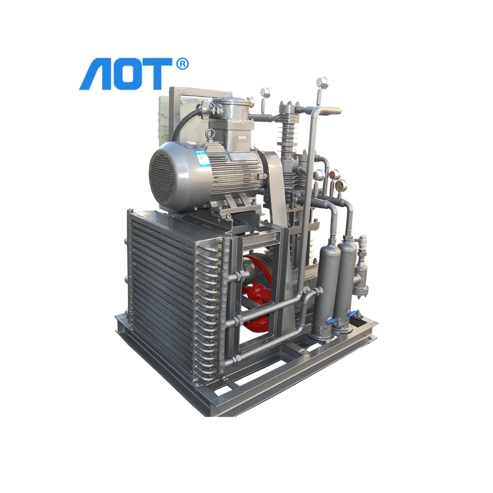 Quality Piston Air Compressor Pump Heads Natural Gas Station Dental Air Compressor