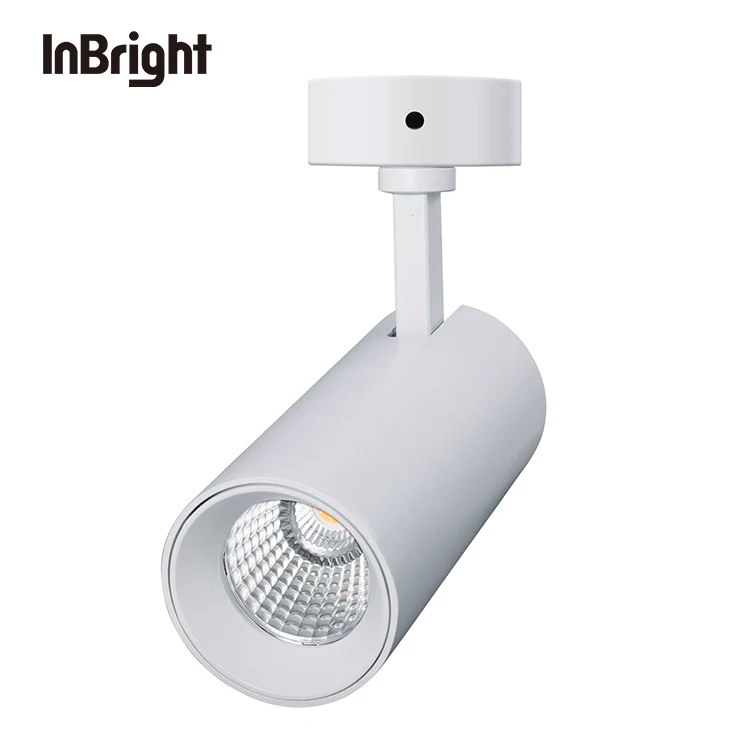 Вращающийся светодиодный потолочный светильник для отеля Dali dimmable 12w 20w 36w IP20 COB Led downlight