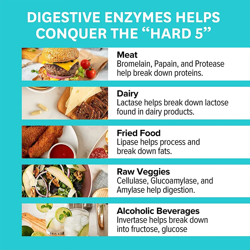 Supports Nutrient Absorption Prebiotics Probiotics Nutrition Digestive Enzymes Probiotic Capsules