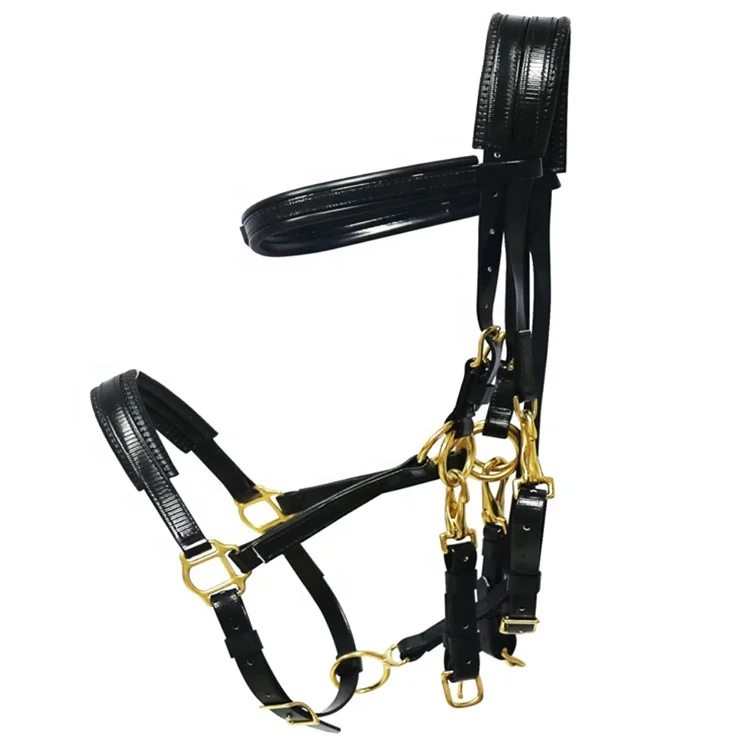 Марафонская выносливость, подтяжка, нагрудник и бег Martingale