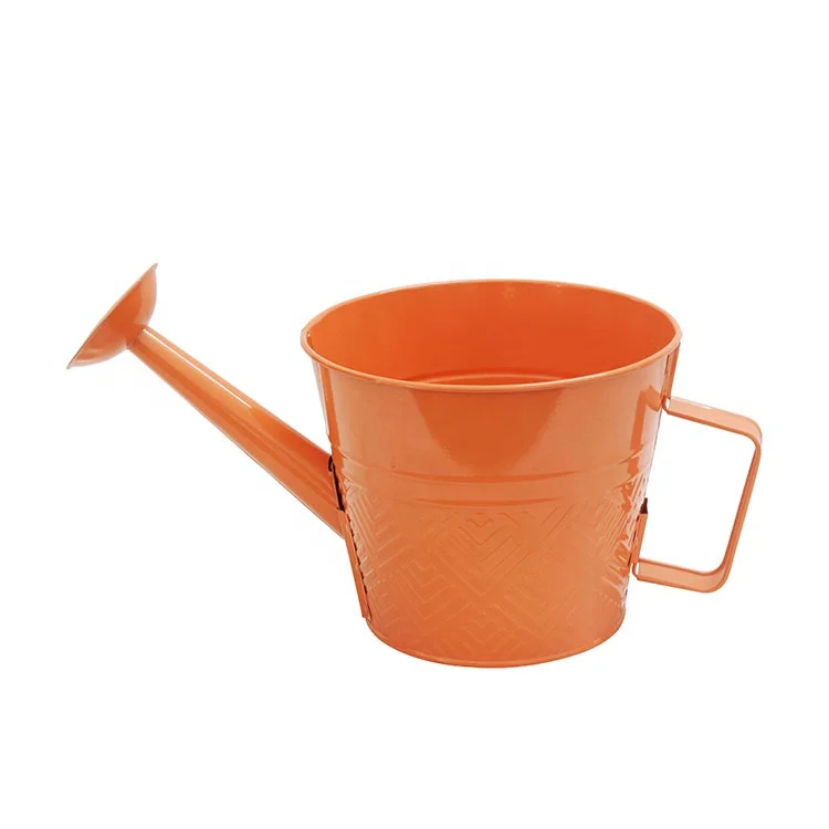 
Medium dismounting Metal Jugs Watering Can Planters 