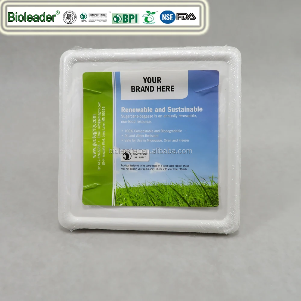 Biodegradable Sugarcane Bagasse 10x10 Inch Square Plates