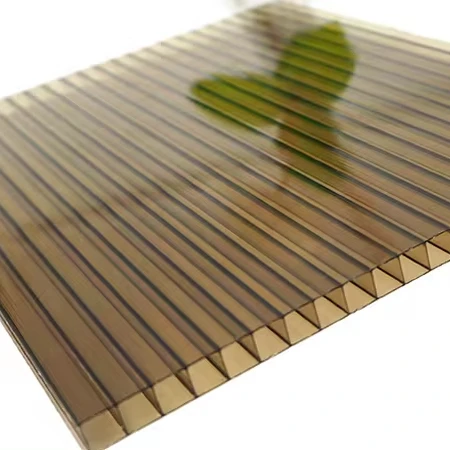 Polycarbonate Hollow Sheet Twin Wall Building Material Brown 12mm Thickness Sun Sheet