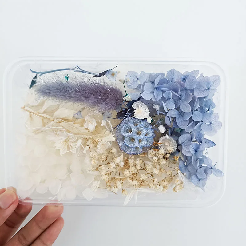 
Wholesale Cheap DIY High Quality Natural Dried Pressed Flower Mix for Handicraft Nail Decoration 