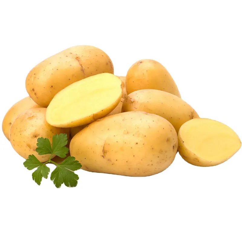 Fresh High Quality Potatoes China Potatoes For Cheap Rates