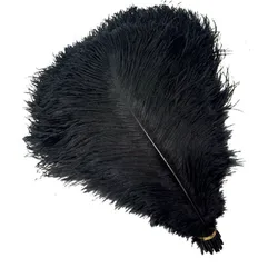 Cheap Price Nature Dyed Large Black Ostrich Feathers Ostrich