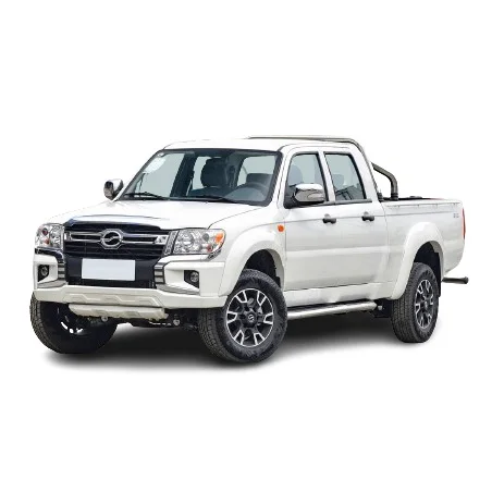 Grandtiger Passenger Cargo Car With Cargo Box Vehicles 2 Seats Made In China