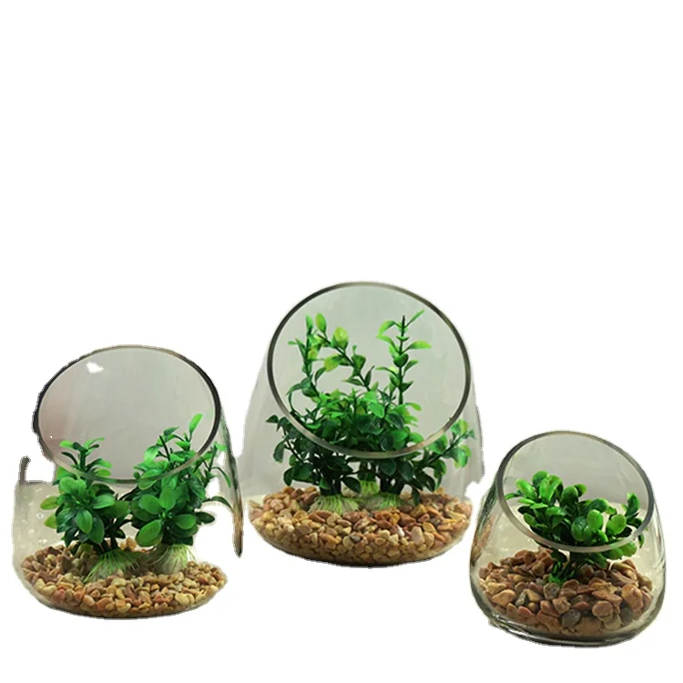 Oblique micro landscape decoration vase Succulent plant vase Moss micro landscape glass flower container