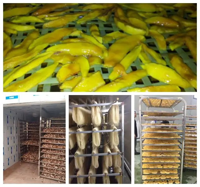 
Hot Air Recycle Heat Pump Industrial Blueberry drying machine Mulberry dehydrator fruit dryer oven vegetable dryer 
