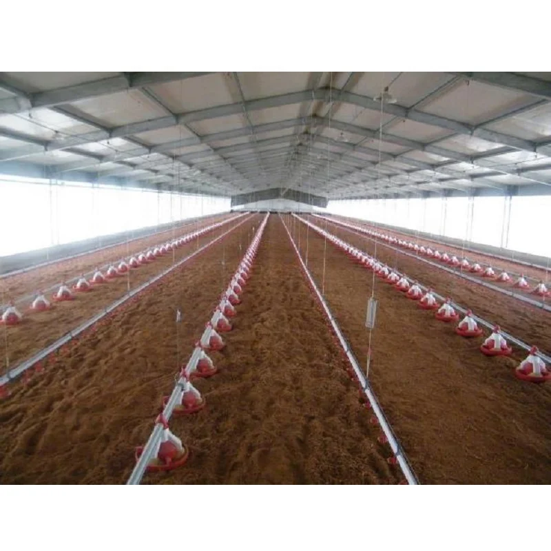 chicken coop shed (20).jpg