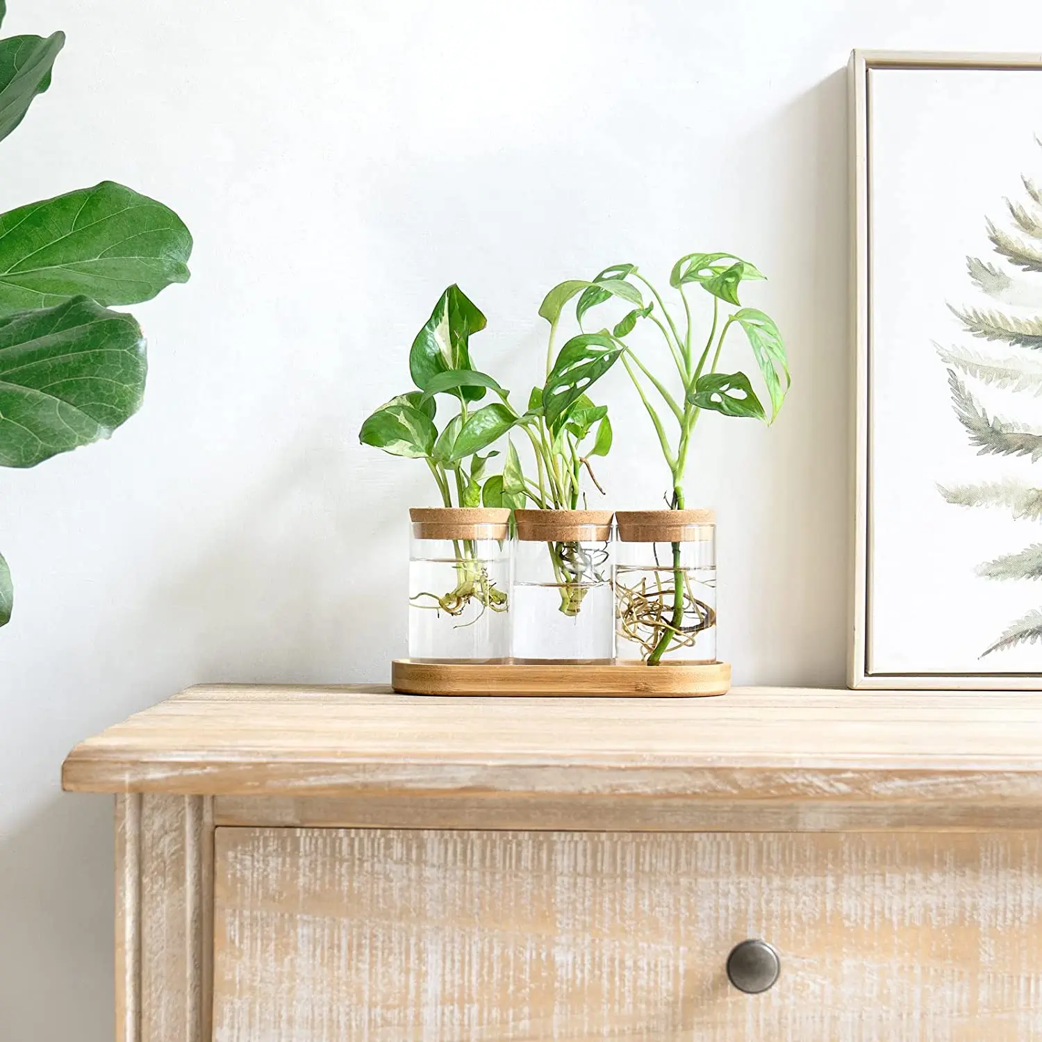 Plant Propagation Terrarium Desktop Glass Planter Station Water Planting Glass Vase with Lid and Wooden Stand for Propagating