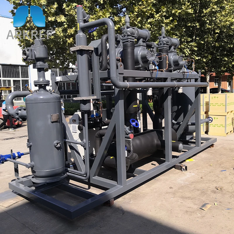 ARKREF Refrigeration Unit Industrial Industry Outdoor Condensing Unit Chiller Inverter