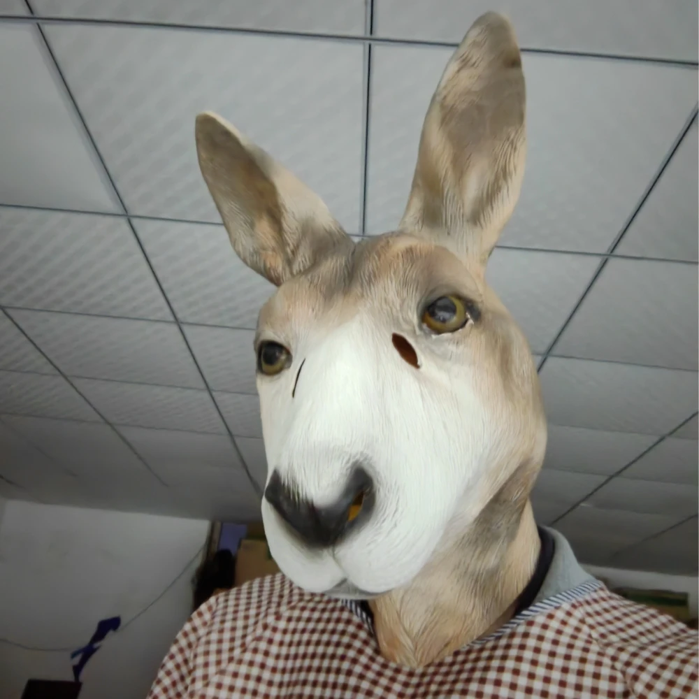 _20240311094442_.jpg