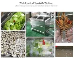 Refrigeration Vegetable Seafood Meat Bubble Washing Thawing Machine With Cooling Water