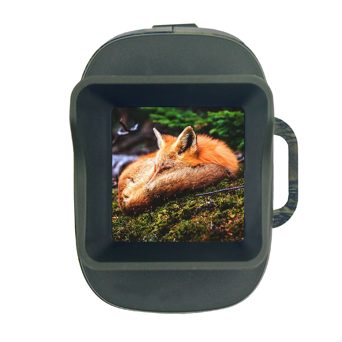 2023 Cssiwe New Arrival Outdoor and Sport Waterproof Hunting Trail Night Vision Hidden Camera