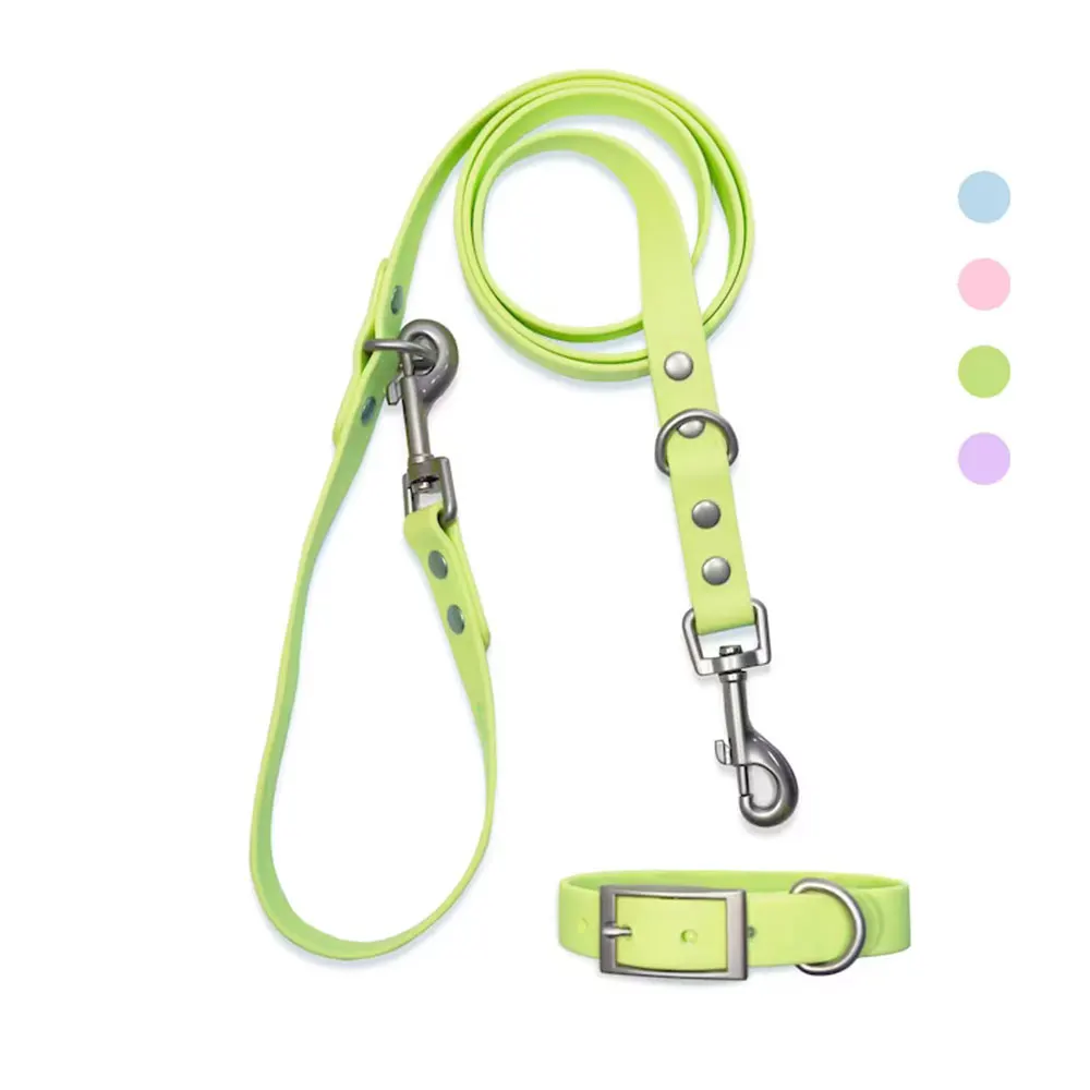 2023 High Quality Design PVC Neck Divtop Pet Collar&Leash Waterproof Coated Webbing Pet dog Leash And Collar